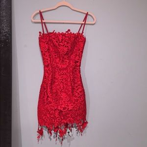 Revolve NBD floral lace dress!!